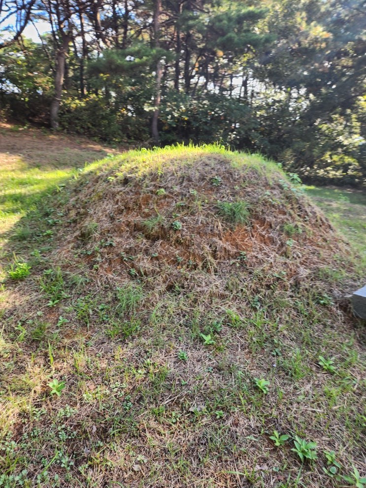 벌초 후 산소
