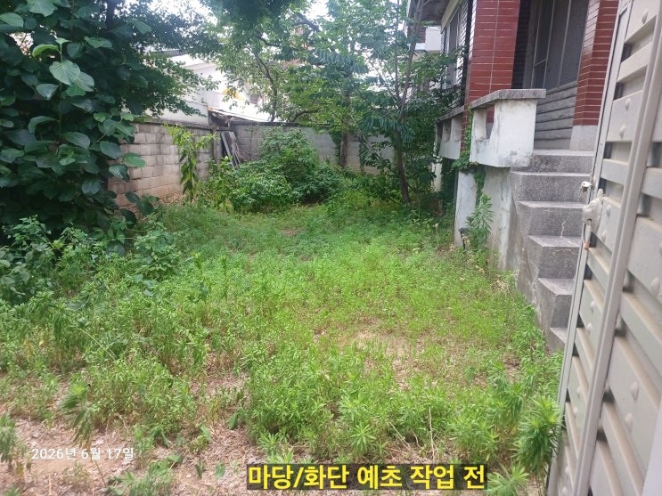 예초 전 주택 마당